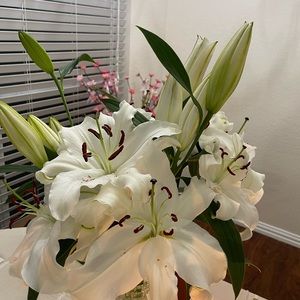 Meet your Posher, Nhung